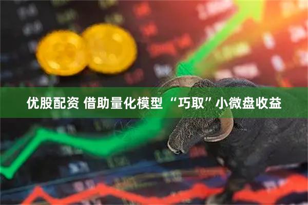 优股配资 借助量化模型 “巧取”小微盘收益