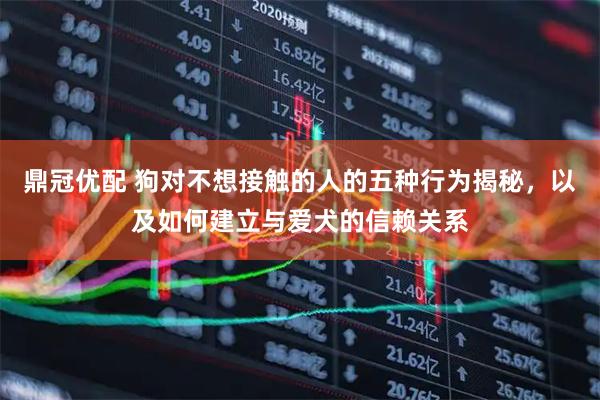 鼎冠优配 狗对不想接触的人的五种行为揭秘，以及如何建立与爱犬的信赖关系